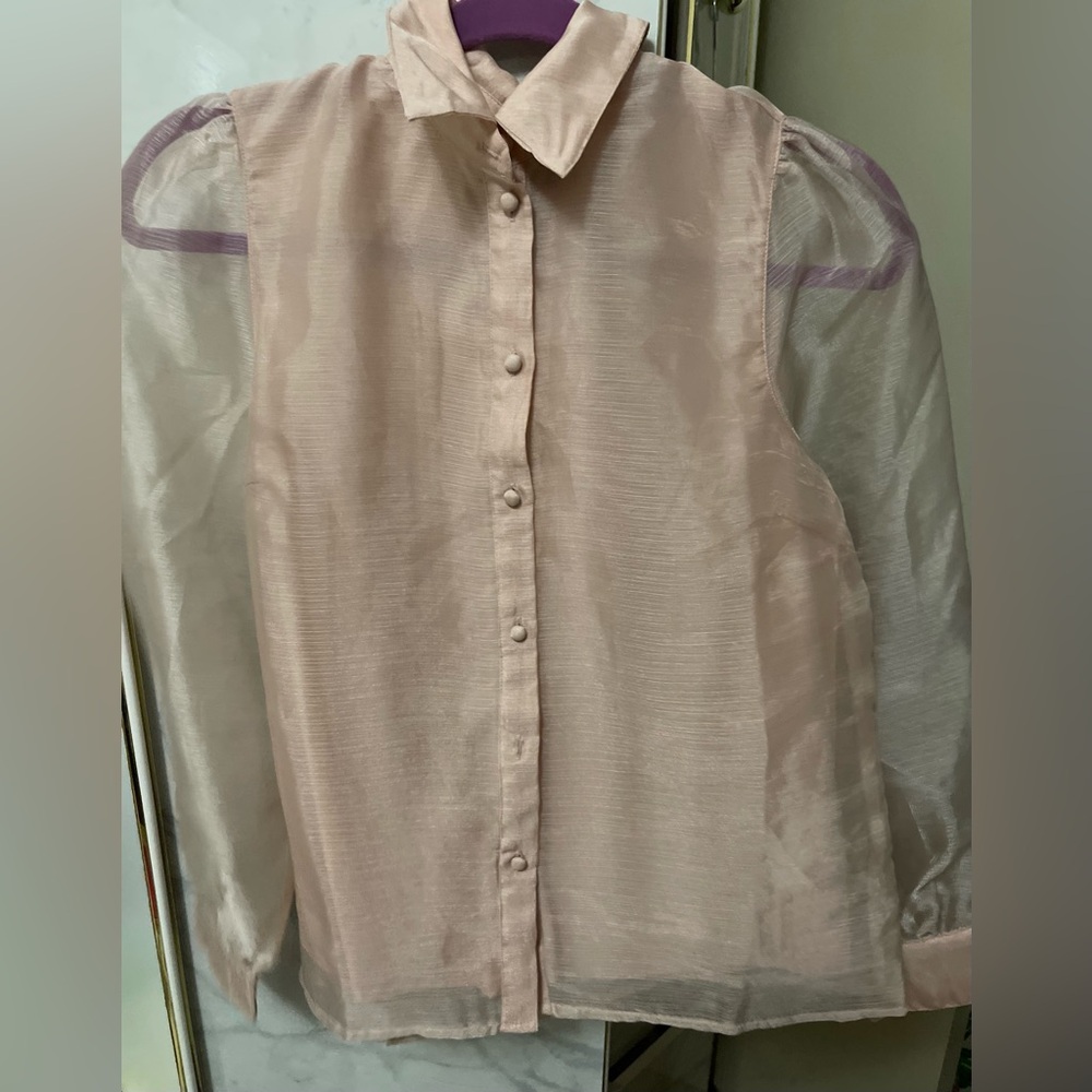 Light Pink Organza Sheer Button-Up Blouse